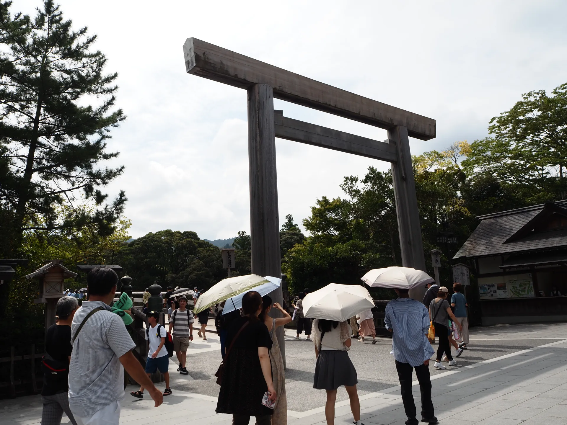 よく見る場所